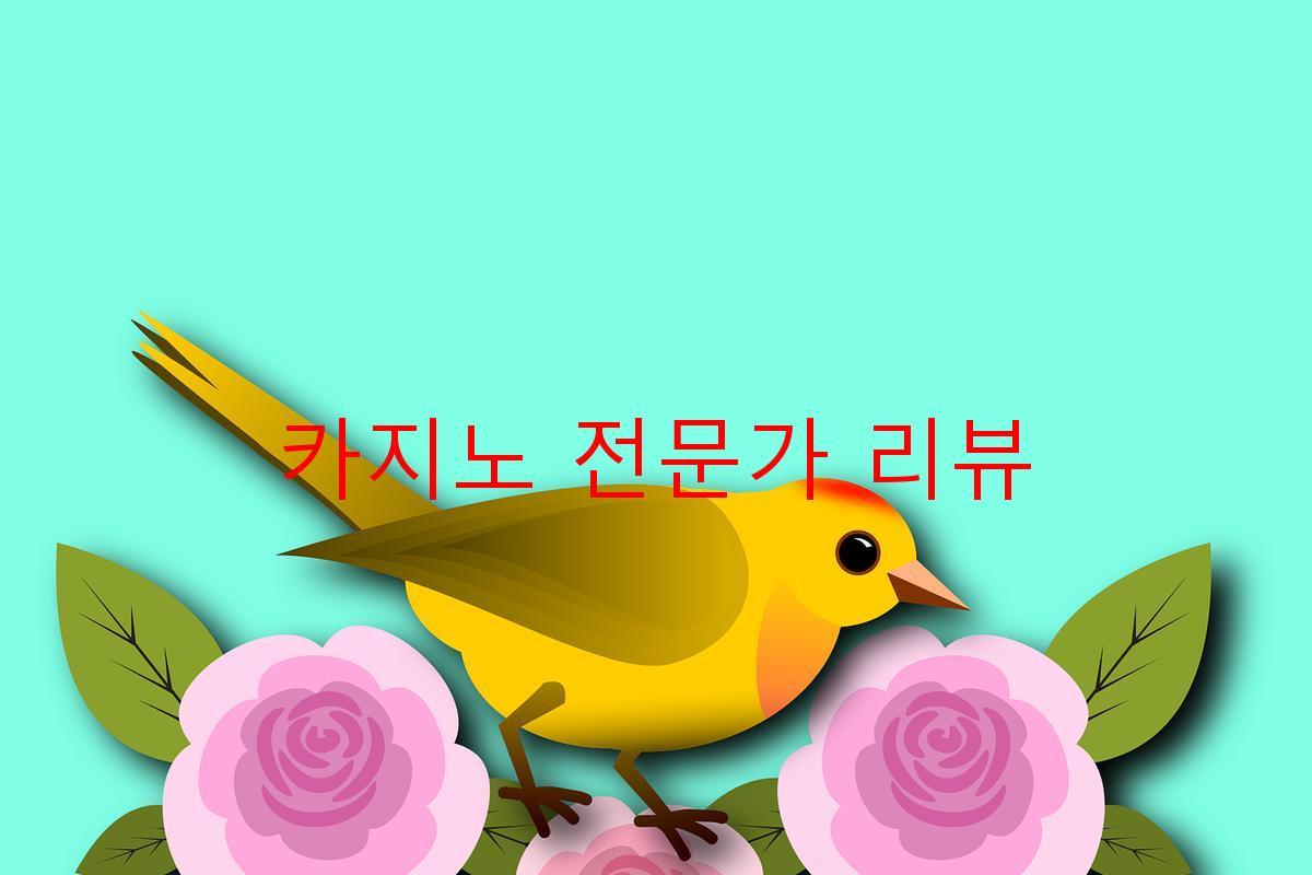 카지노 전문가 리뷰