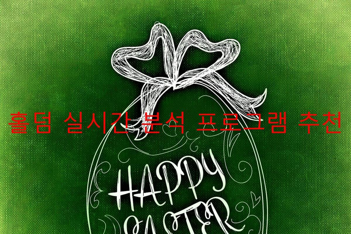 홀덤 실시간 분석 프로그램 추천