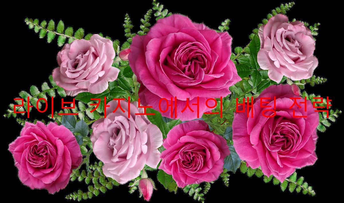 라이브 카지노에서의 배팅 전략