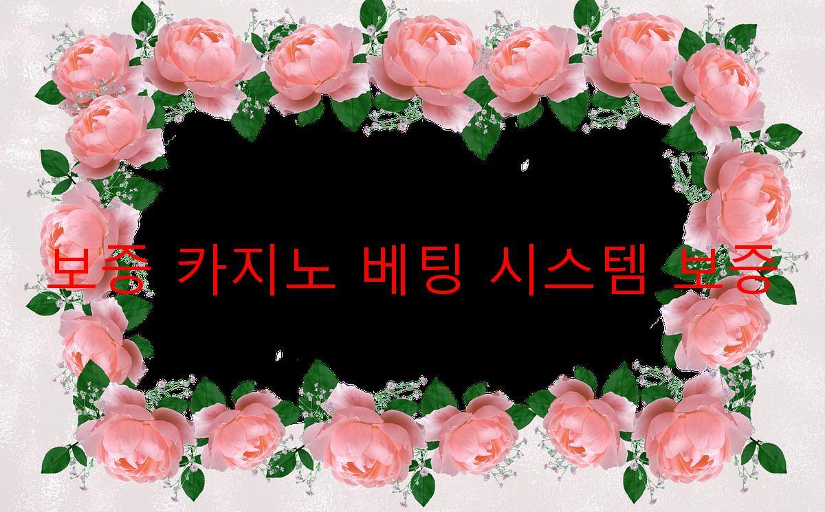 보증 카지노 베팅 시스템 보증