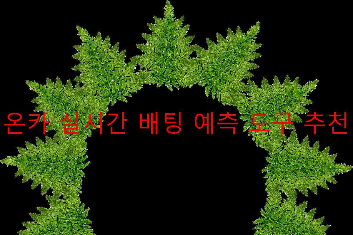 온카 실시간 배팅 예측 도구 추천