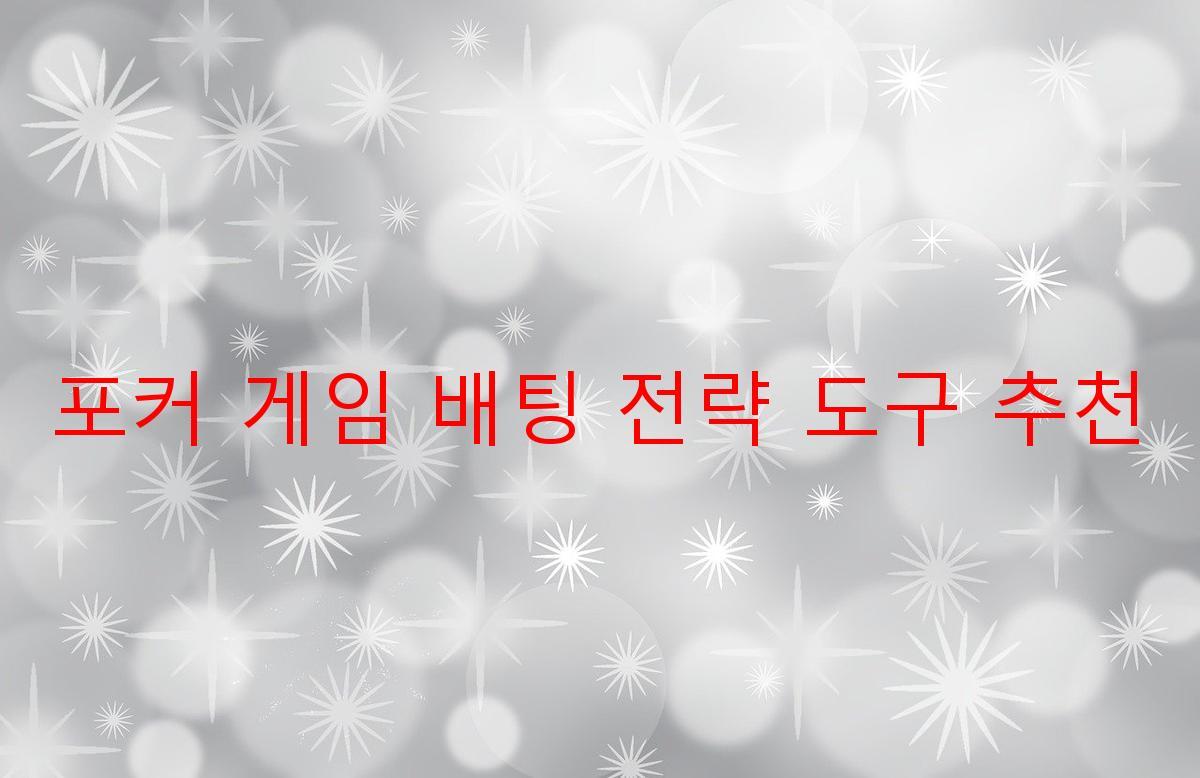 포커 게임 배팅 전략 도구 추천