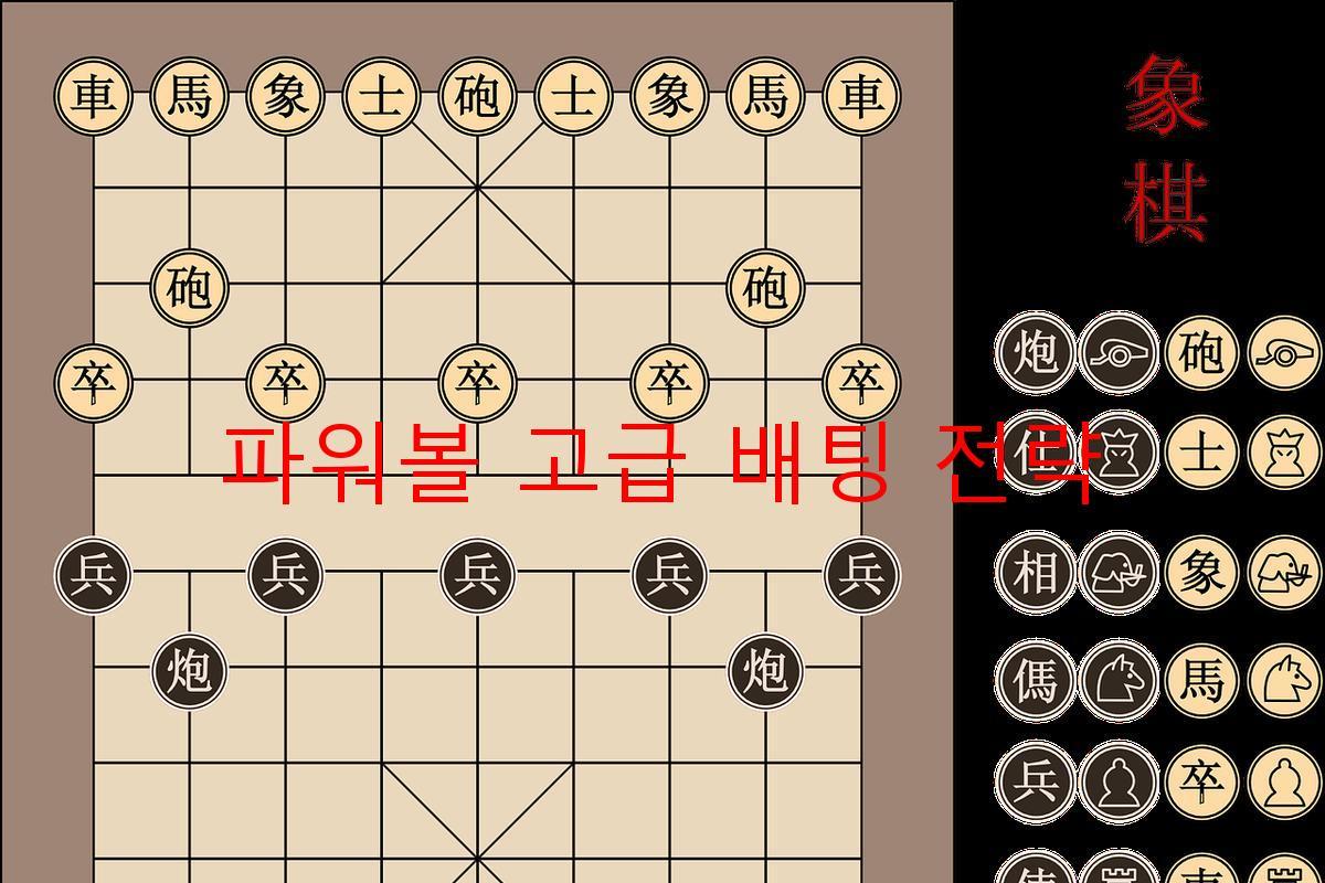 파워볼 고급 배팅 전략