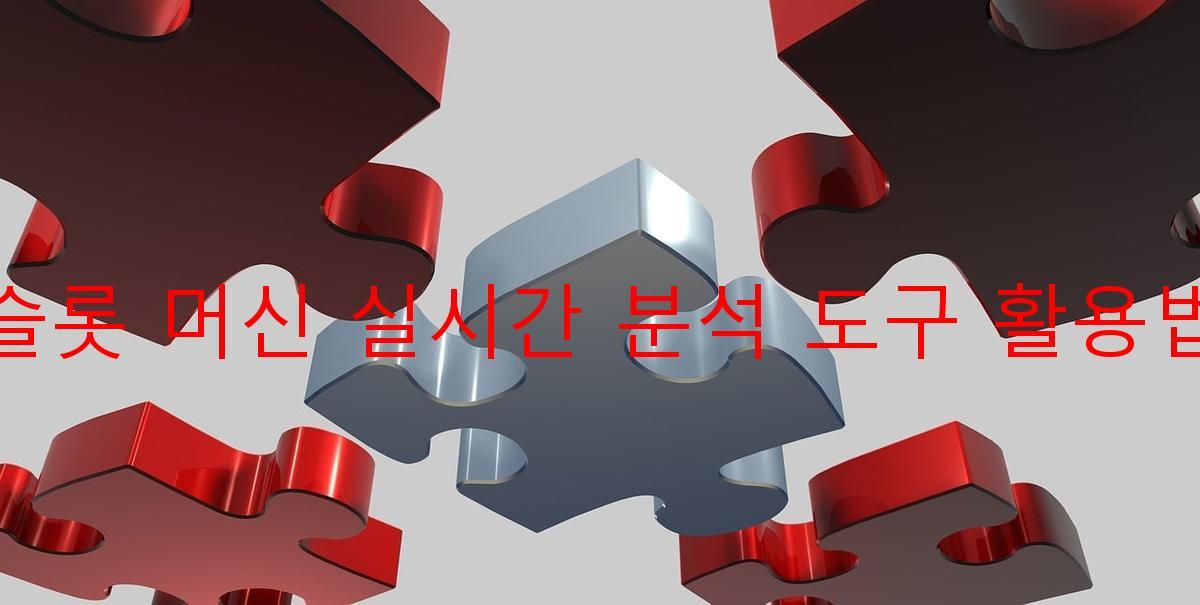 슬롯 머신 실시간 분석 도구 활용법