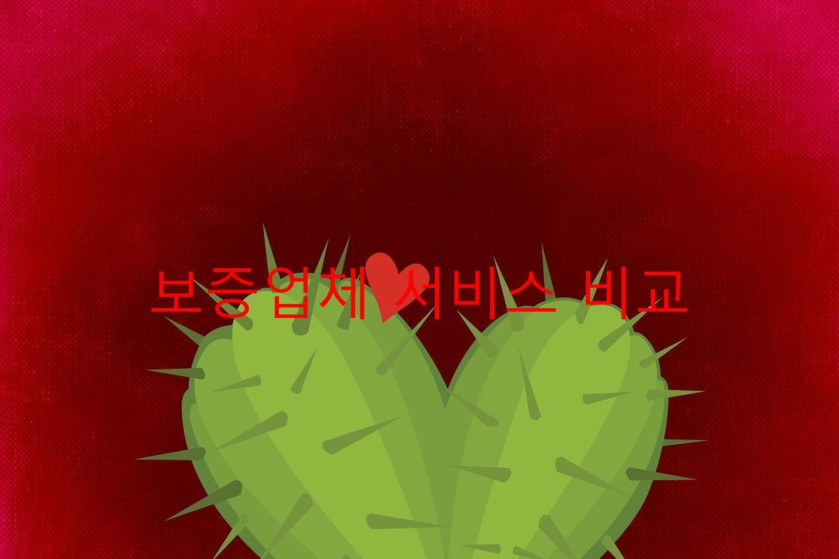 보증업체 서비스 비교