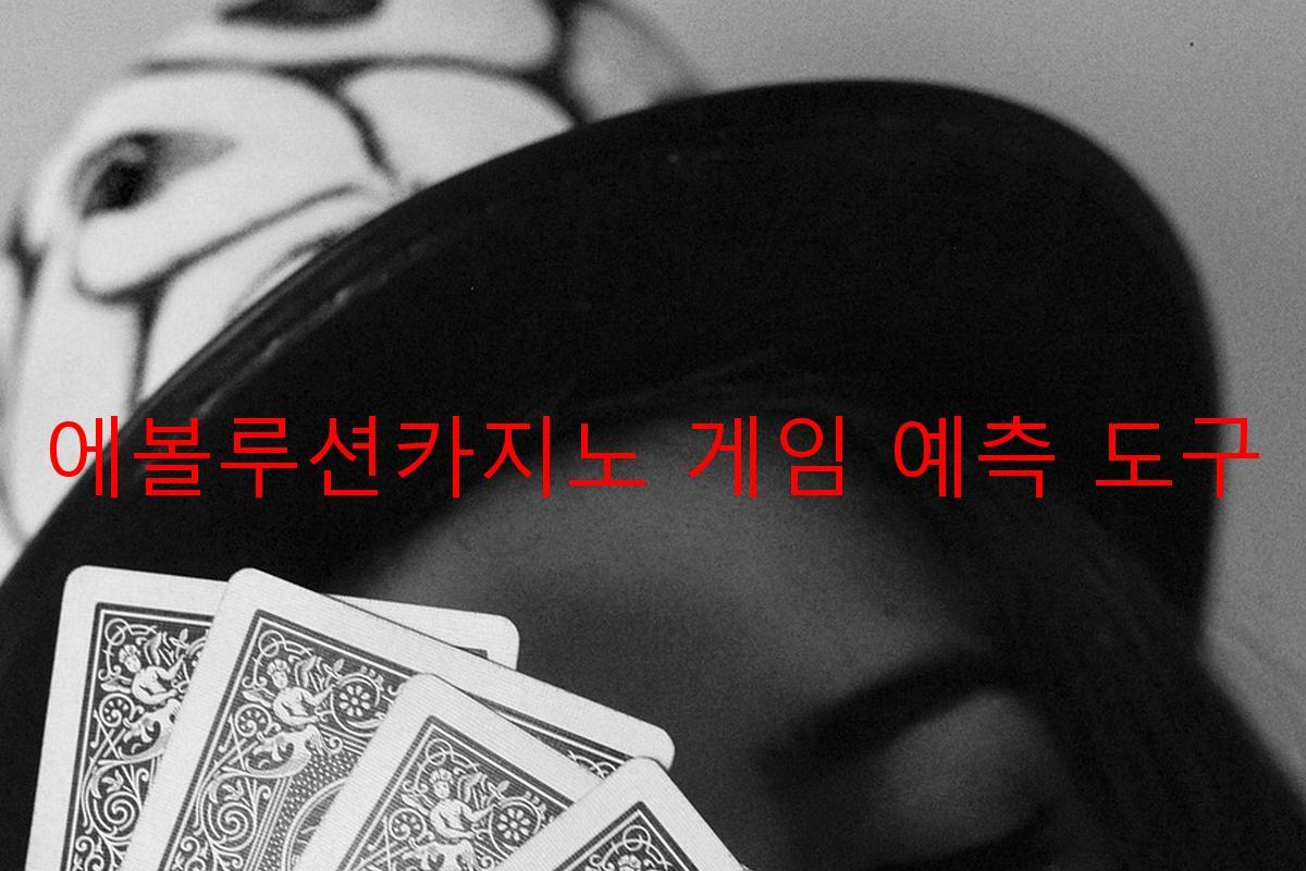 에볼루션카지노 게임 예측 도구