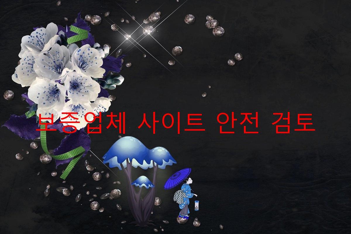 보증업체 사이트 안전 검토