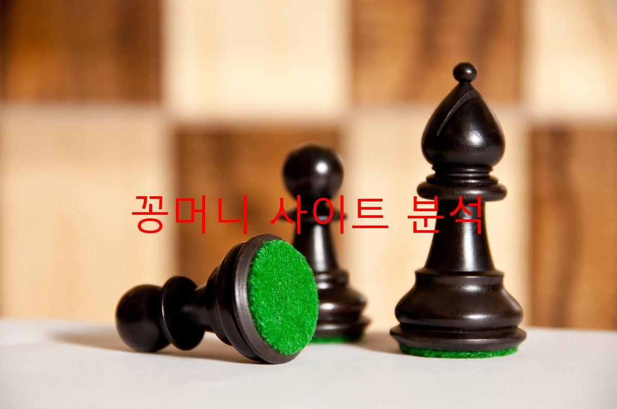 꽁머니 사이트 분석