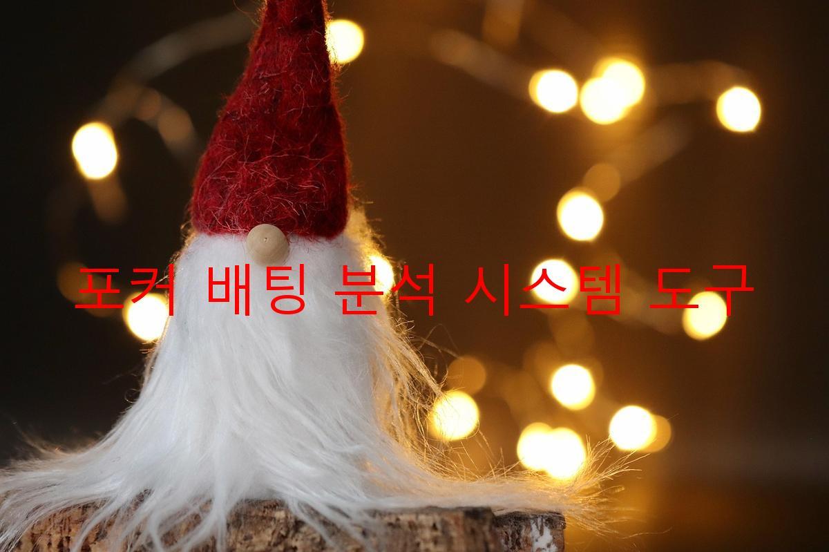 포커 배팅 분석 시스템 도구