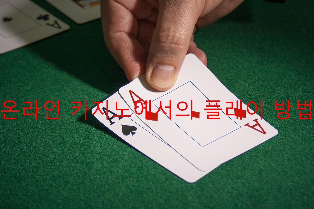 온라인 카지노에서의 플레이 방법