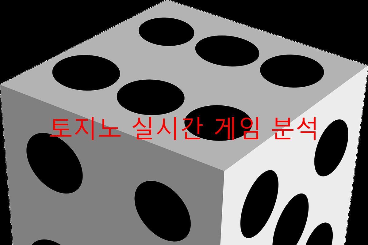 토지노 실시간 게임 분석