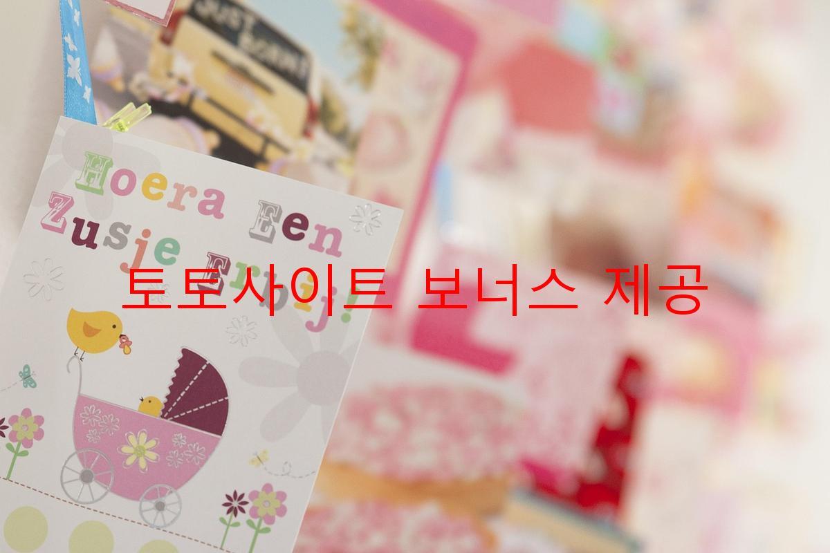 토토사이트 보너스 제공