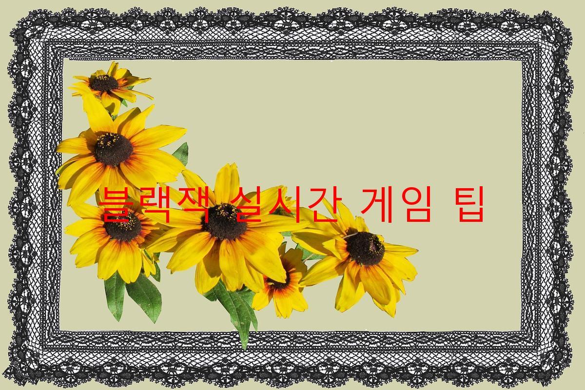 블랙잭 실시간 게임 팁