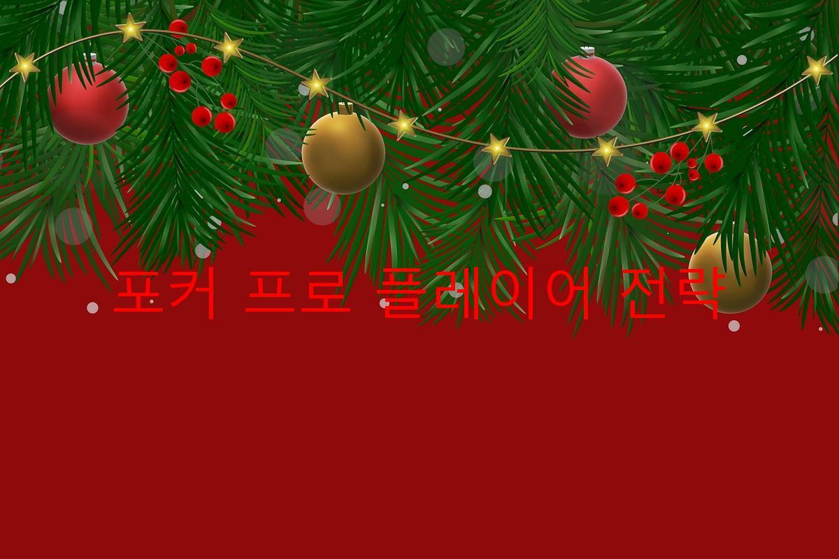 포커 프로 플레이어 전략