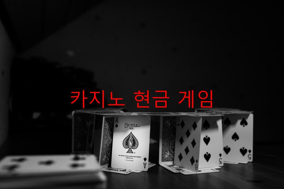 카지노 현금 게임