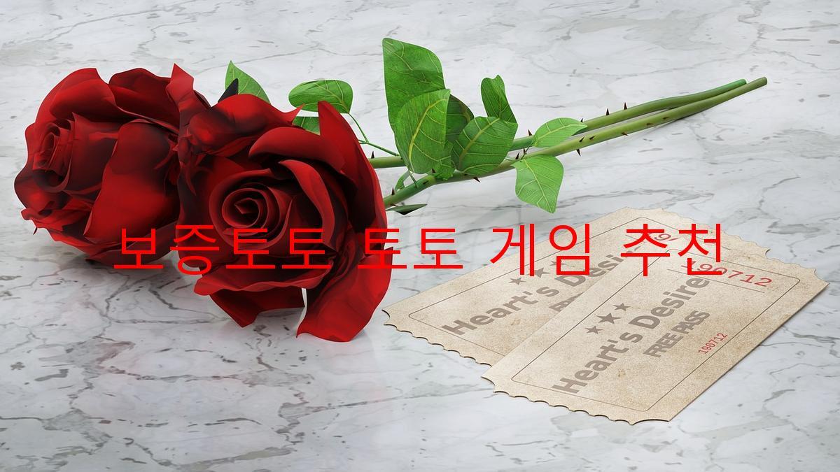 보증토토 토토 게임 추천