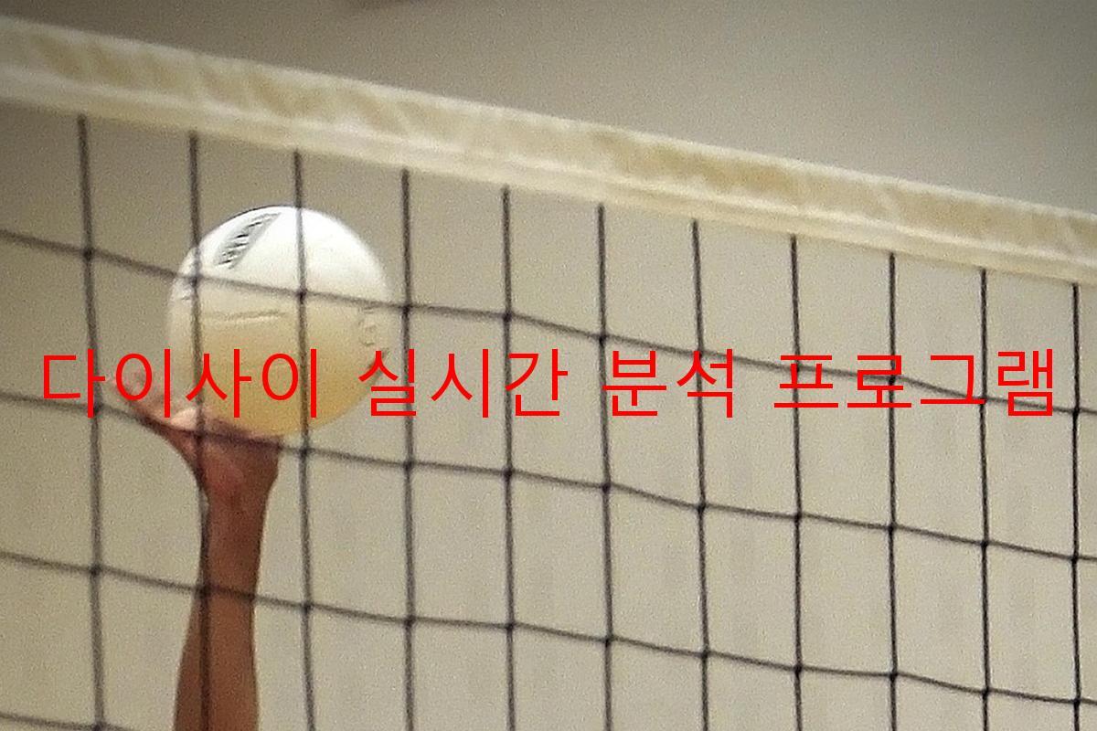 다이사이 실시간 분석 프로그램