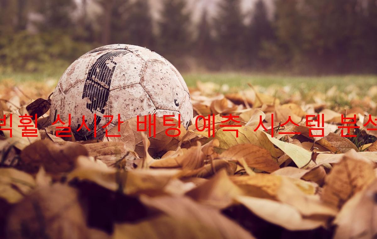 빅휠 실시간 배팅 예측 시스템 분석