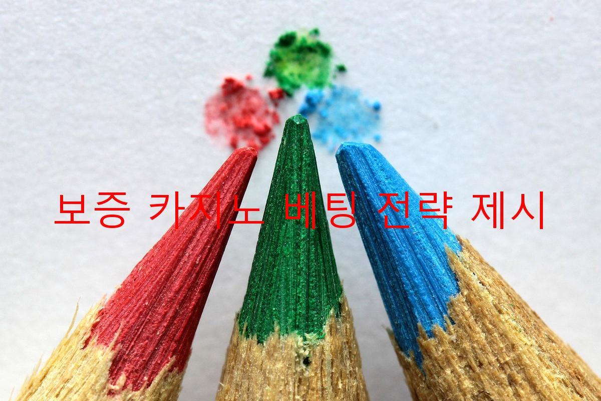 보증 카지노 베팅 전략 제시