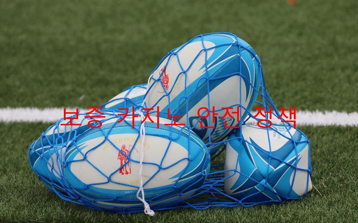 보증 카지노 안전 정책