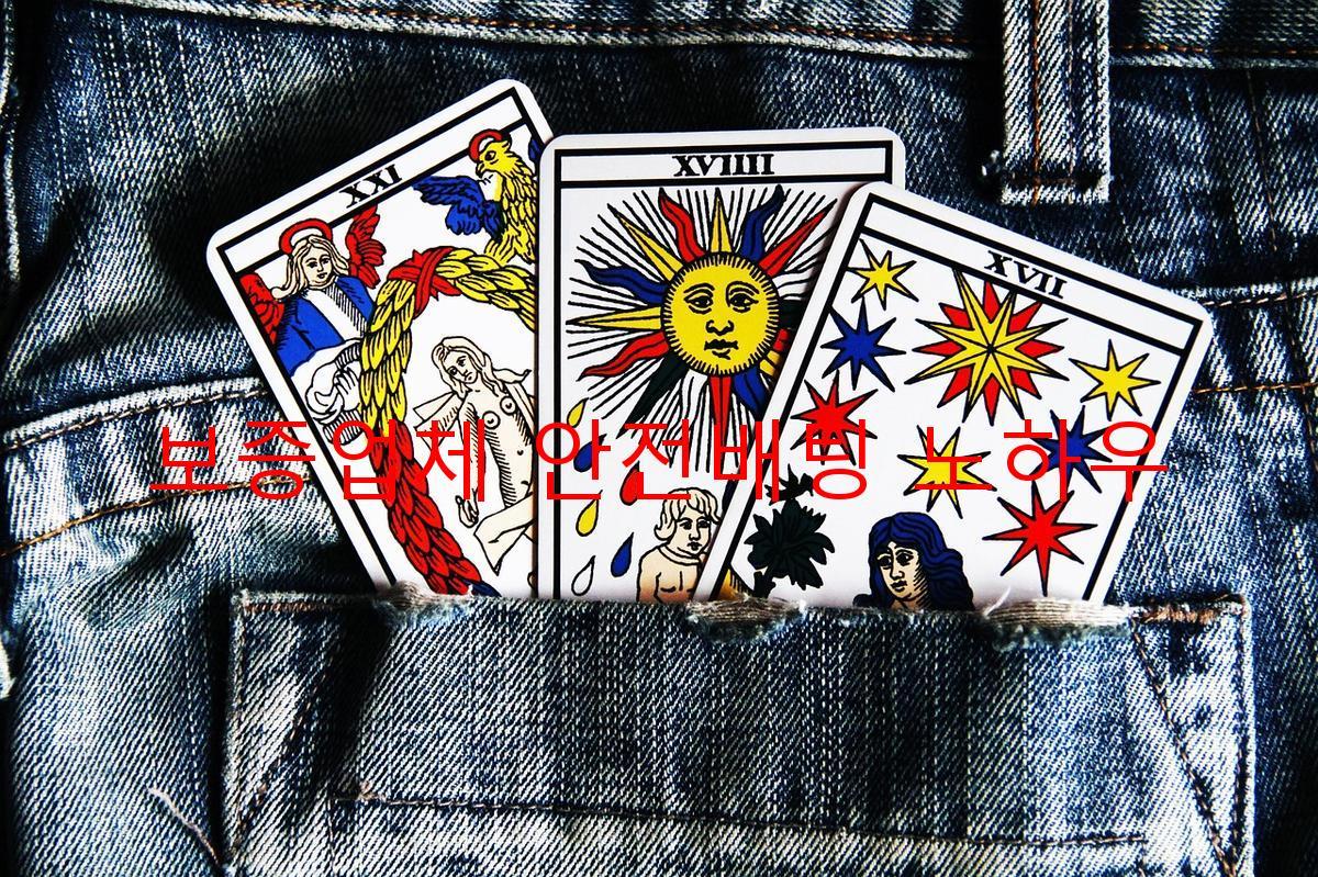 보증업체 안전배팅 노하우