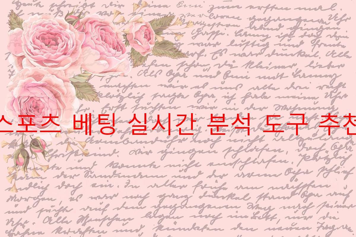 스포츠 베팅 실시간 분석 도구 추천