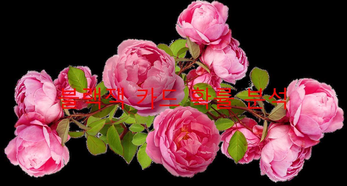 블랙잭 카드 확률 분석