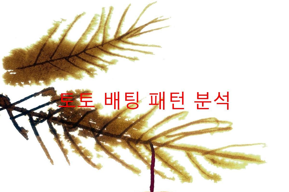 토토 배팅 패턴 분석