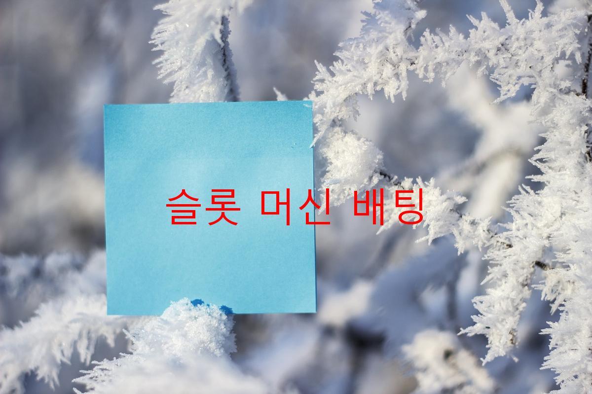 슬롯 머신 배팅