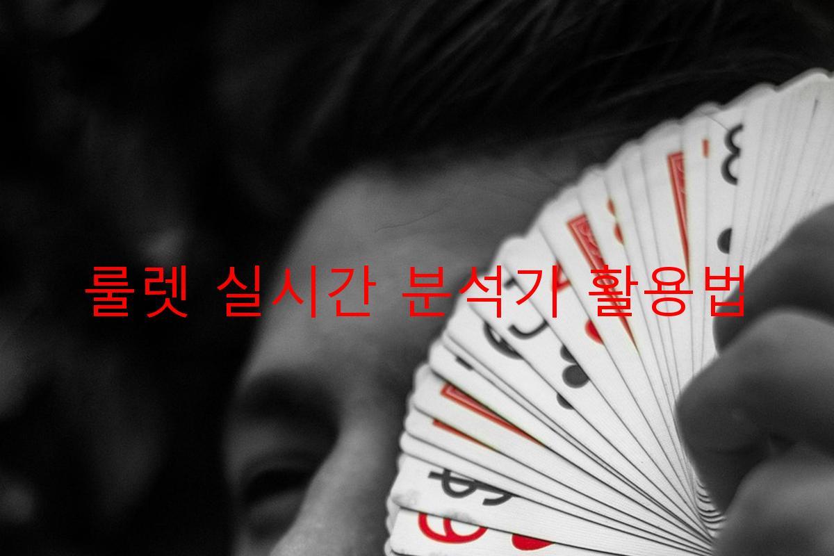 룰렛 실시간 분석기 활용법