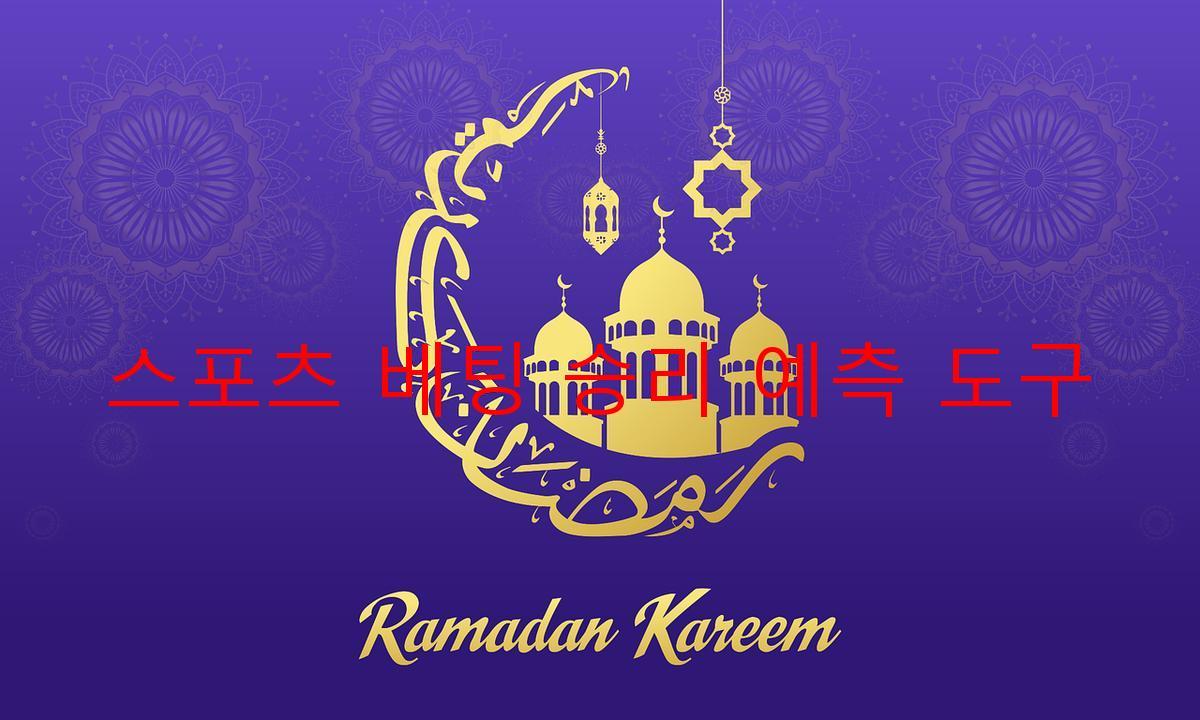 스포츠 베팅 승리 예측 도구