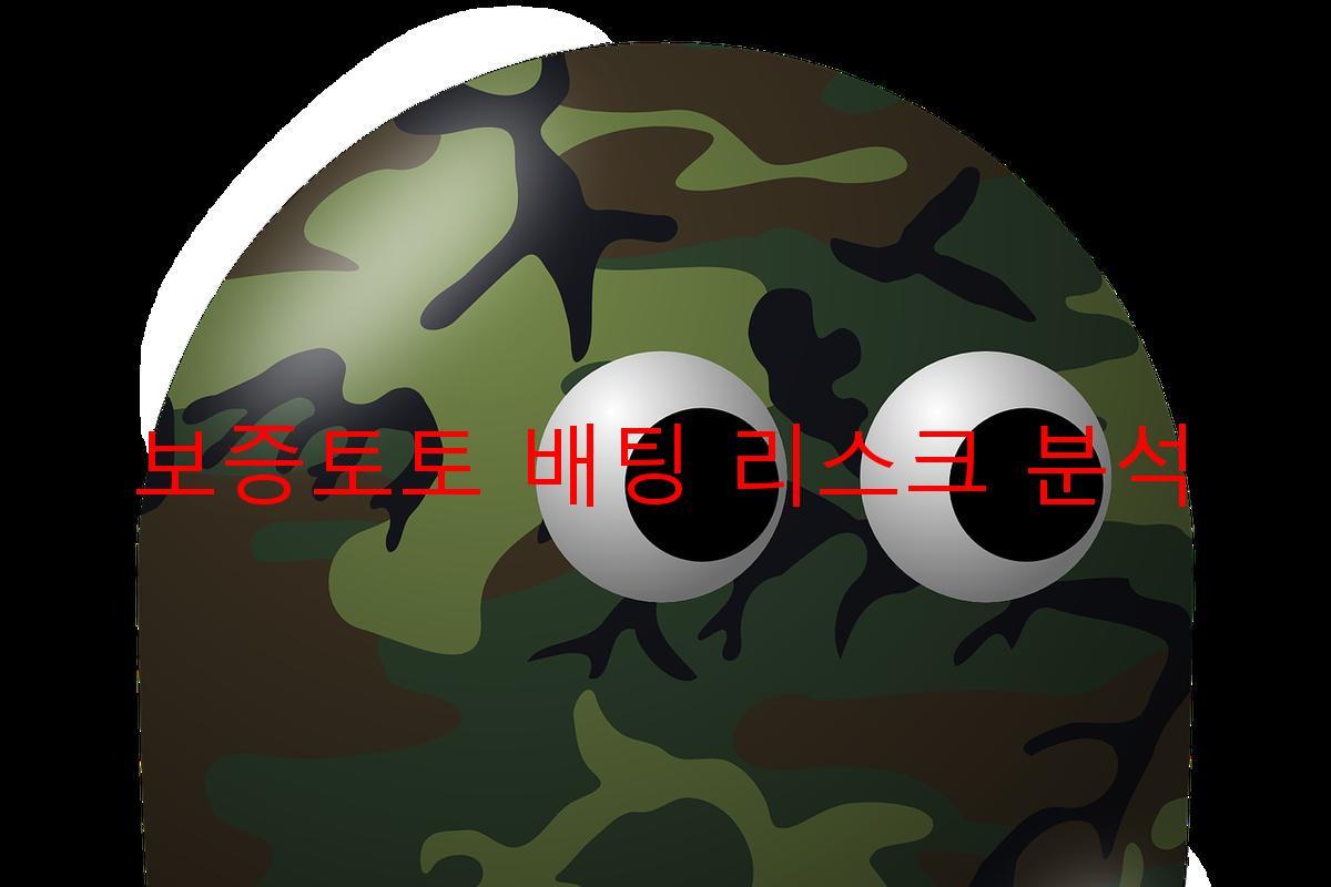 보증토토 배팅 리스크 분석