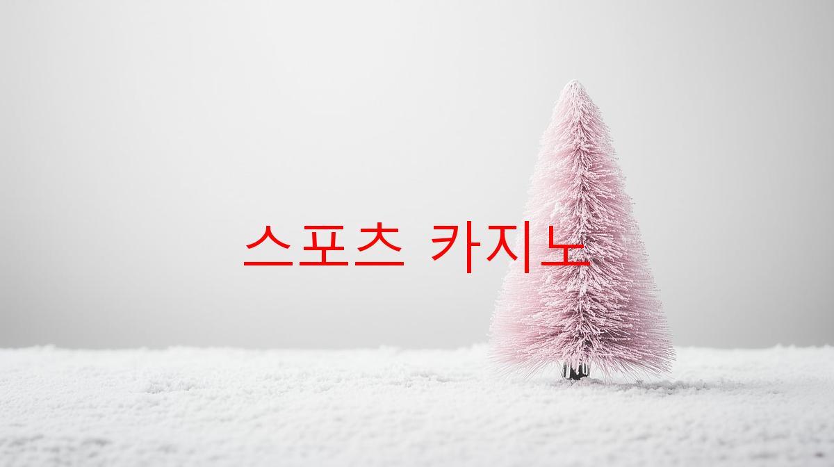 스포츠 카지노