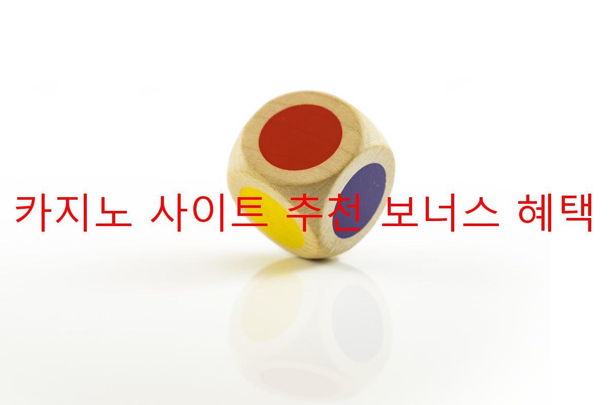 보증 카지노 사이트 추천 보너스 혜택 제공