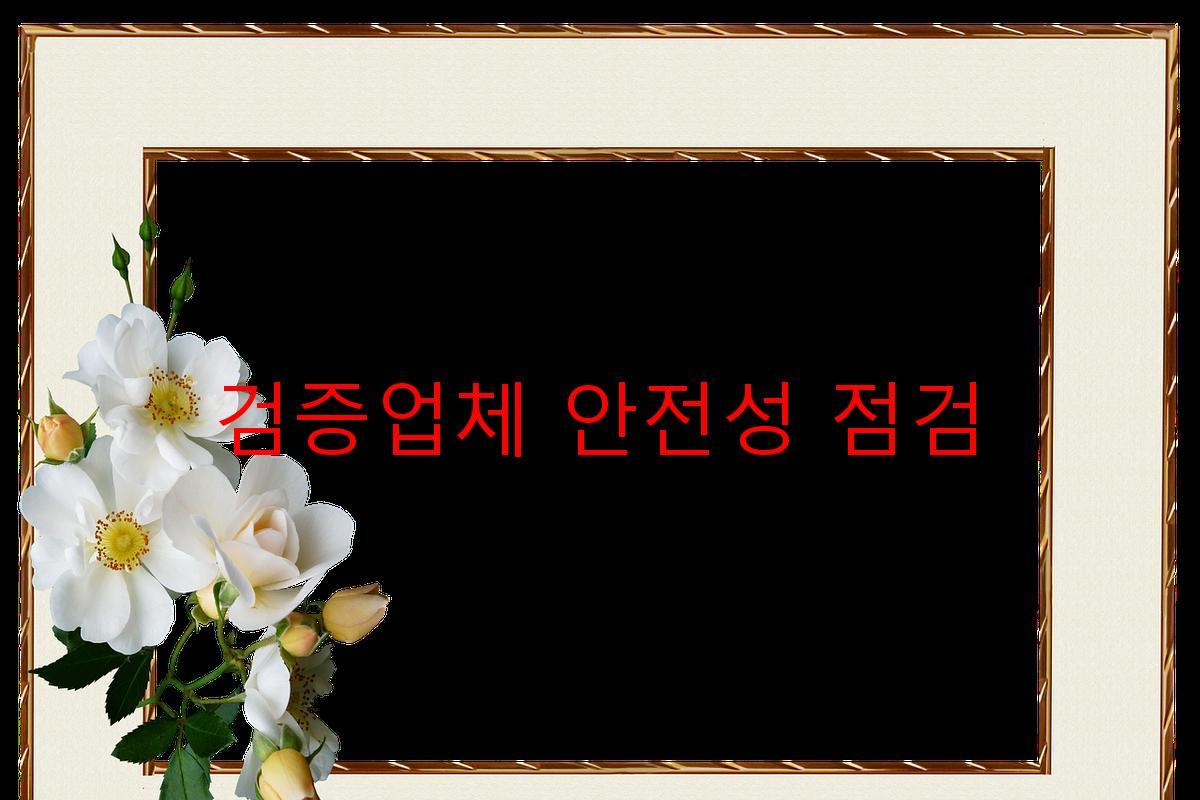 검증업체 안전성 점검