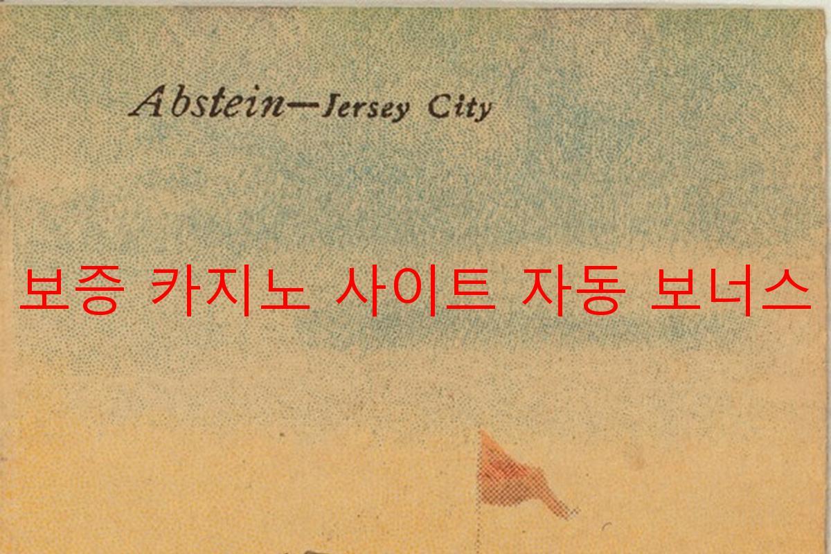 보증 카지노 사이트 자동 보너스