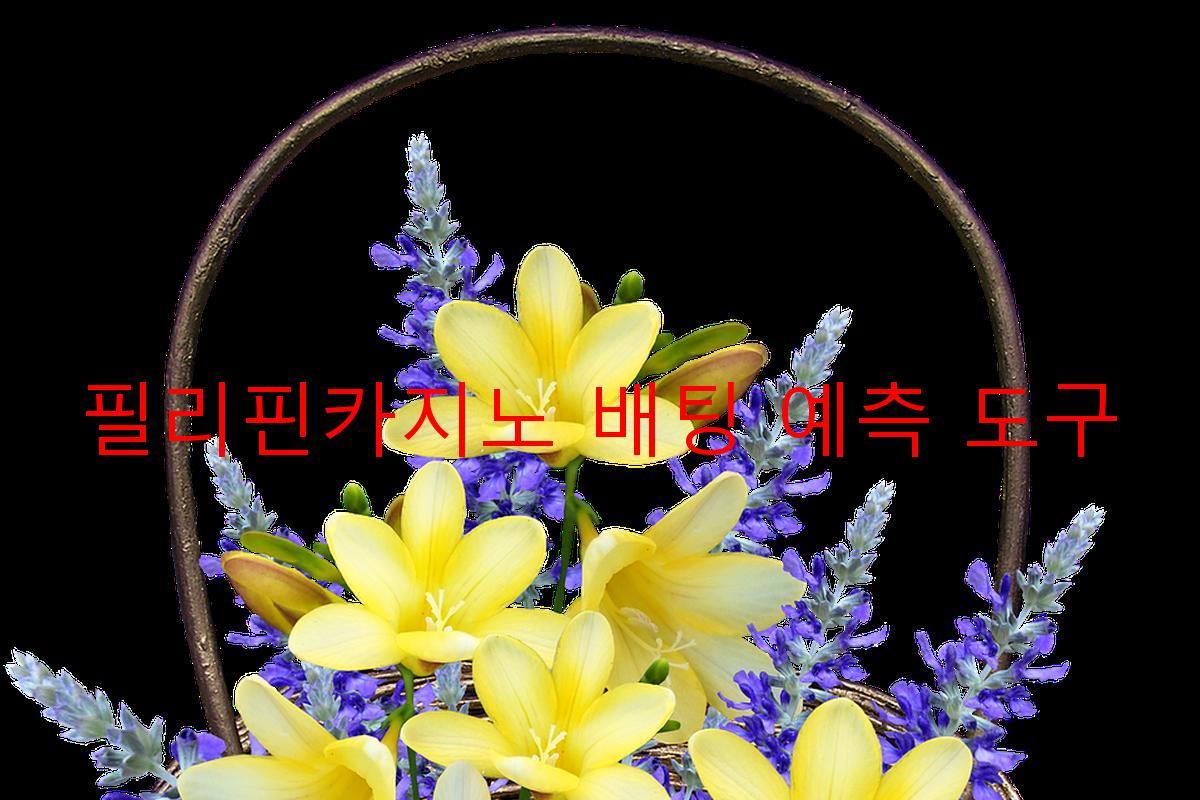 필리핀카지노 배팅 예측 도구