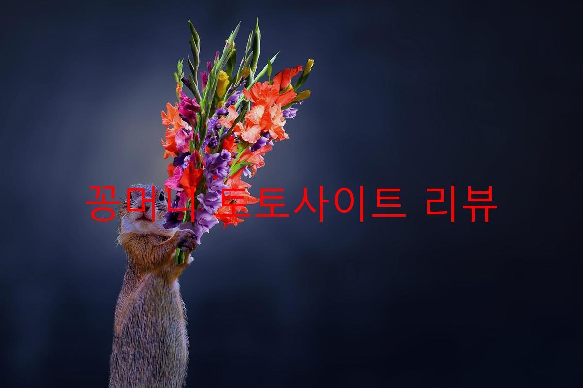 꽁머니 토토사이트 리뷰