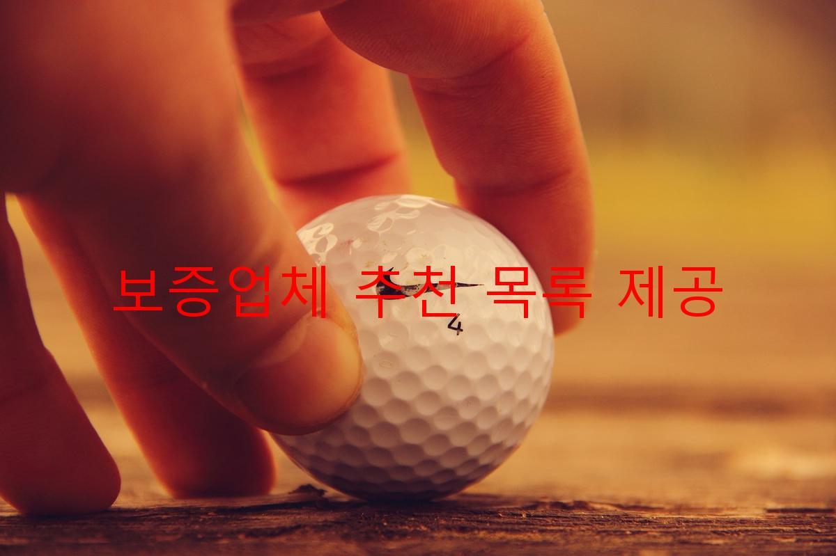 보증업체 추천 목록 제공