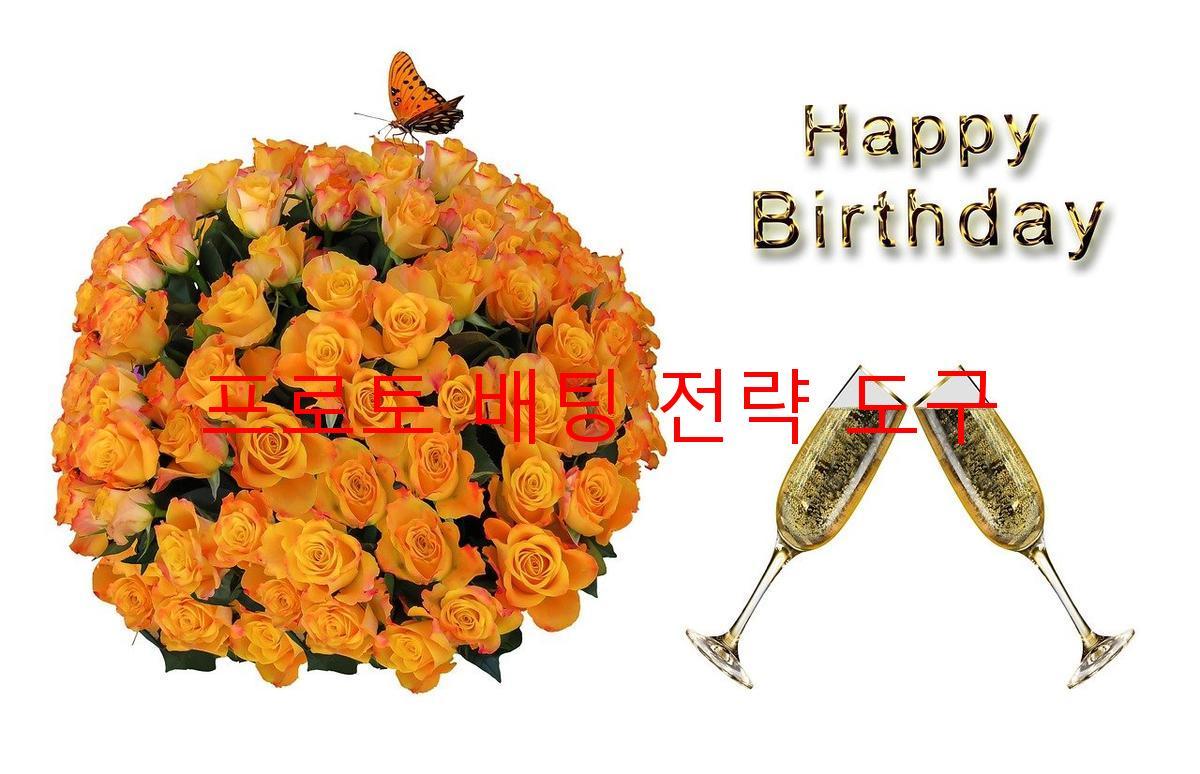 프로토 배팅 전략 도구