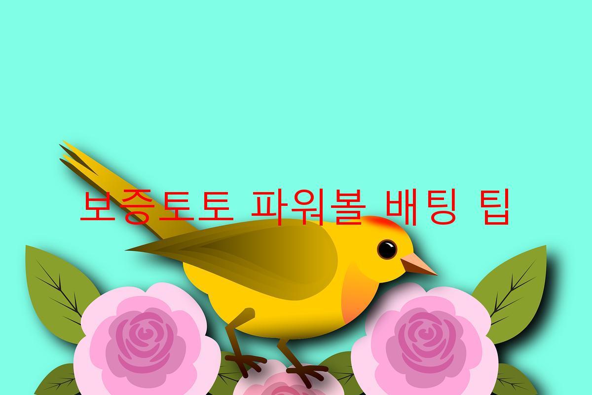 보증토토 파워볼 배팅 팁