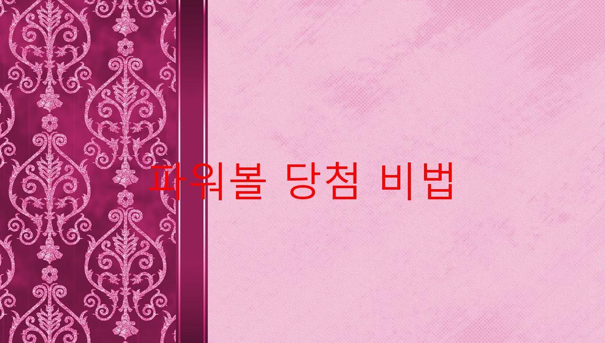 파워볼 당첨 비법