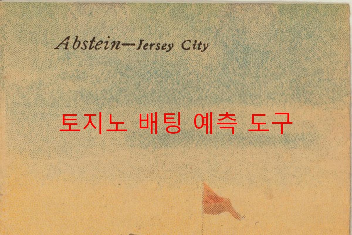 토지노 배팅 예측 도구