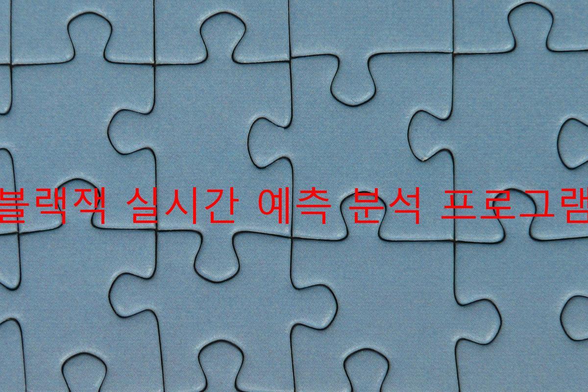 블랙잭 실시간 예측 분석 프로그램