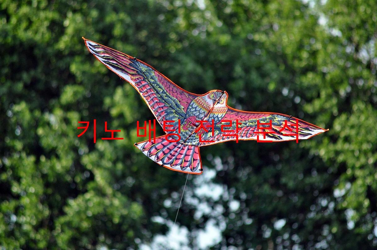 키노 배팅 전략 분석