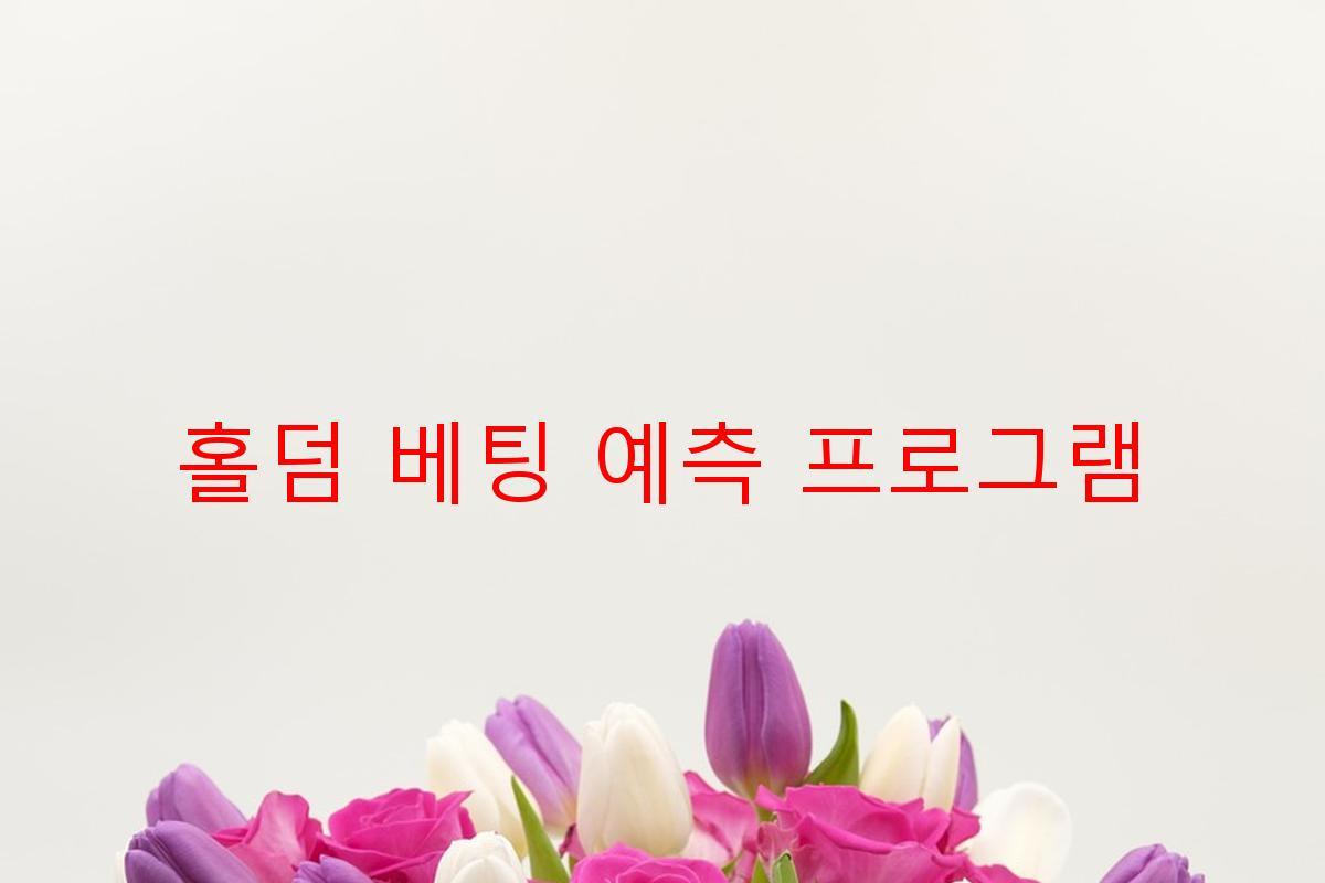 홀덤 베팅 예측 프로그램