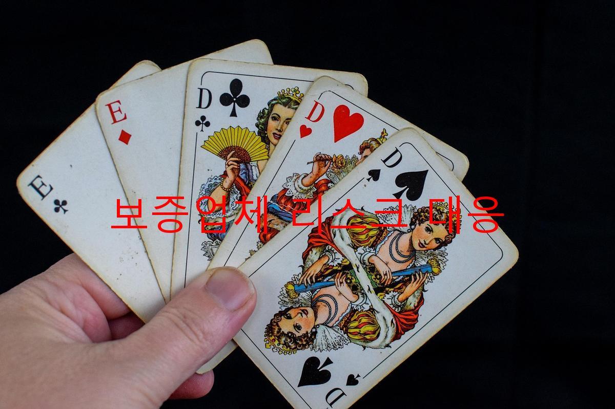 보증업체 리스크 대응