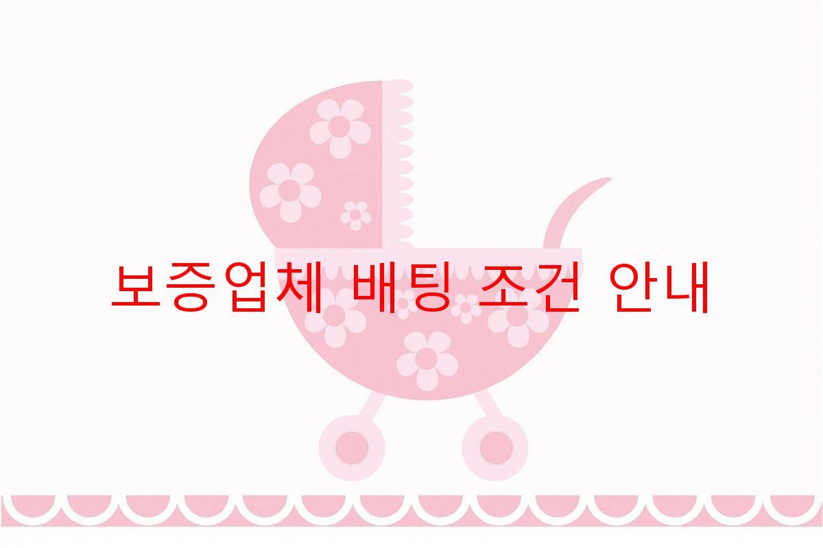 보증업체 배팅 조건 안내