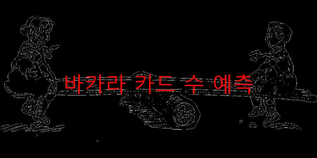 바카라 카드 수 예측