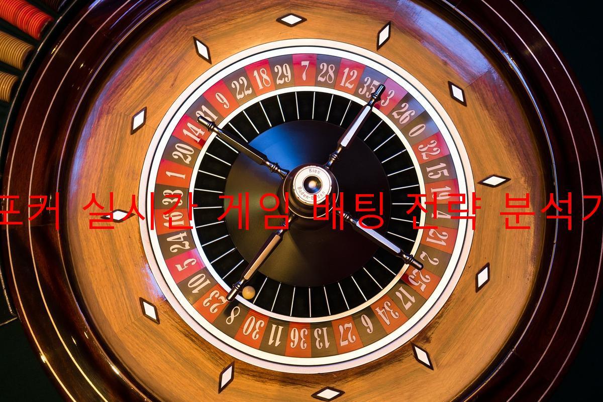 포커 실시간 게임 배팅 전략 분석기